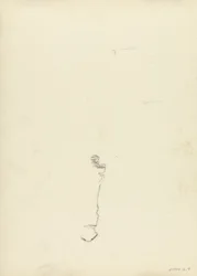 Studie, voor de Cave of the Golden Calf